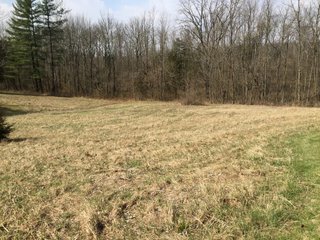 Property photo 25 - LAND AUCTION - 429+/- ACRES OFFERED IN 6 TRACTS IN PREBLE COUNTY, OHIO